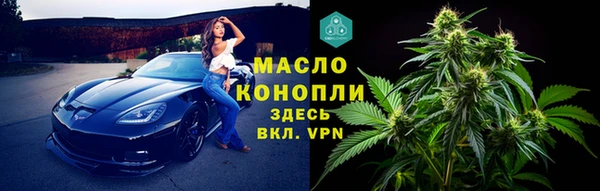 spice Бородино