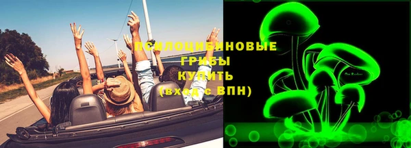 spice Бородино