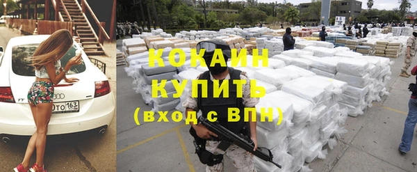 тгк Няндома