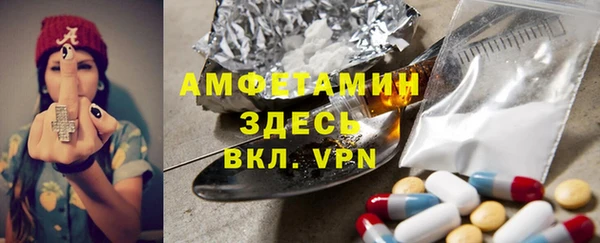 spice Бородино